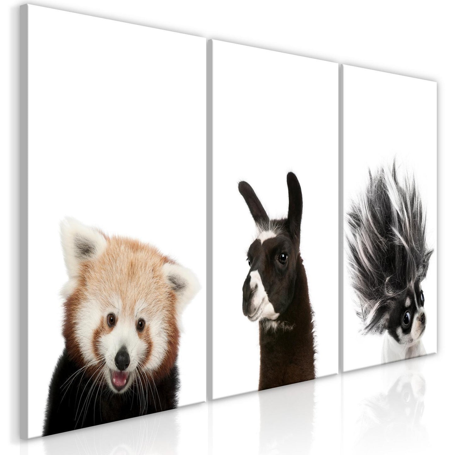 Schilderij - Friendly Animals (Collection)
