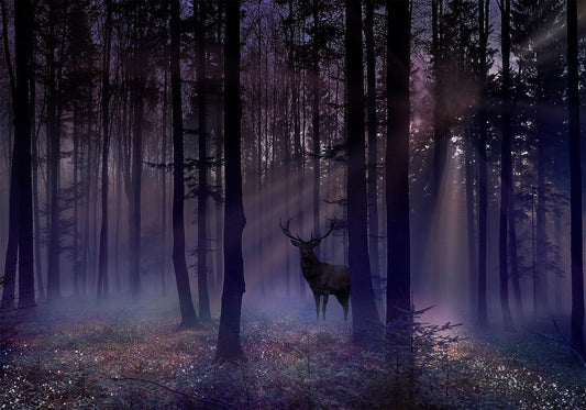 Selbstklebende Fototapete - Mystischer Wald - Zweite Variante