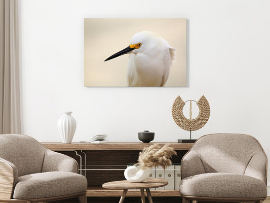 Painting - Snowy Egret (1 Part) Wide