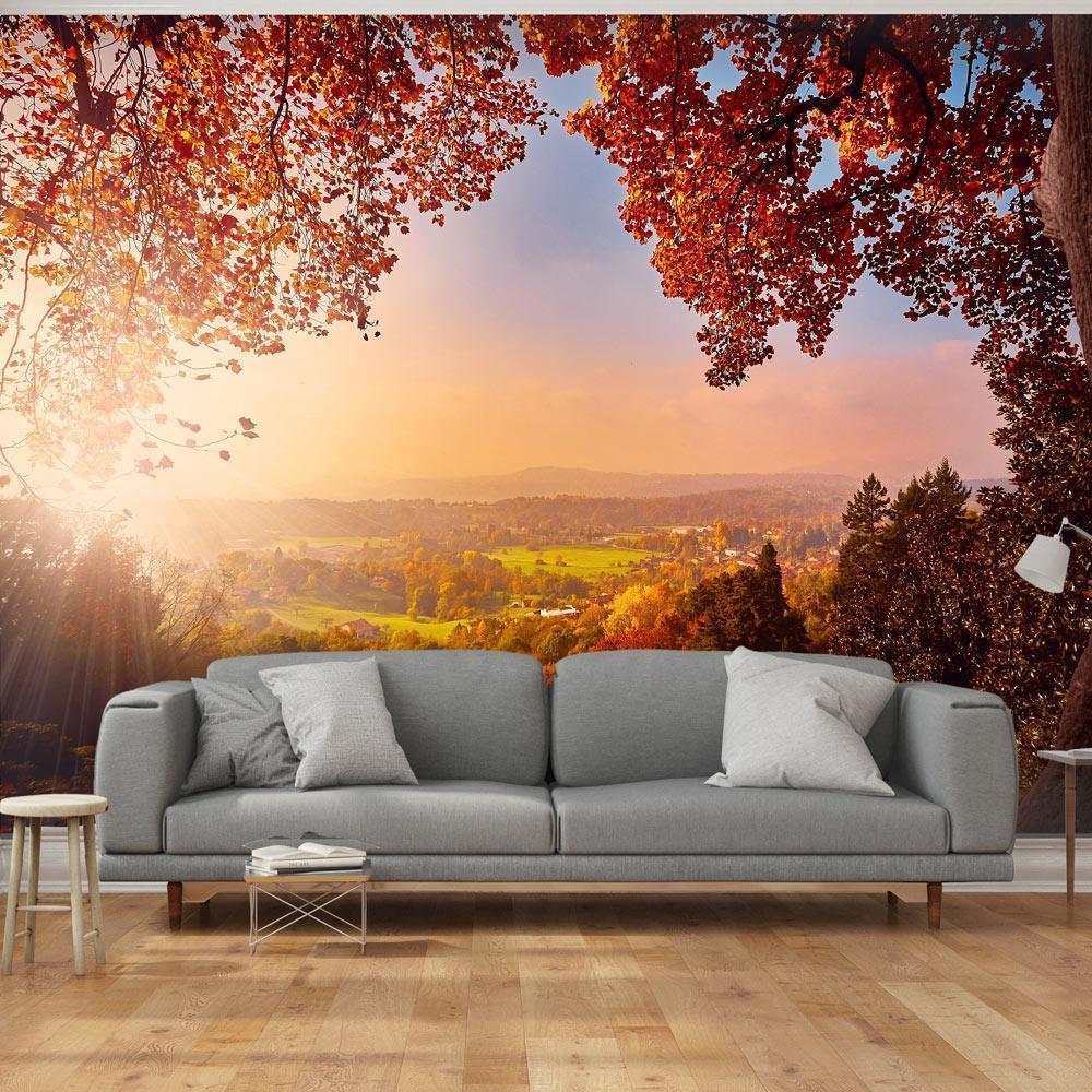 Fotobehang - Autumn delight - sunny landscape with countryside surrounded by trees and fields