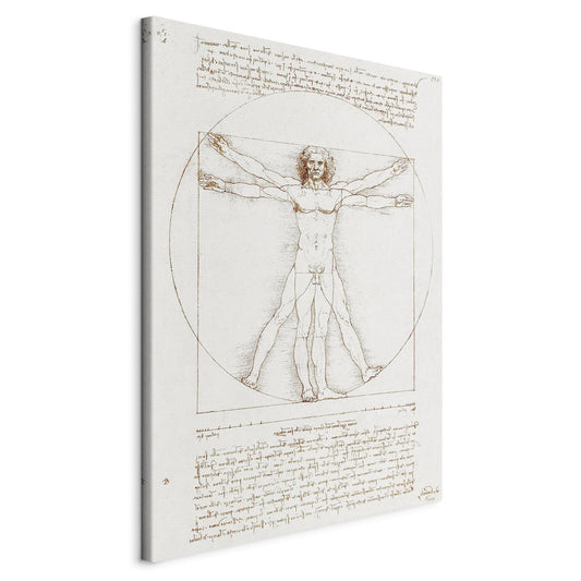 Schilderij - Vitruvian Man (Proportions of the human body according to Vitruvius)