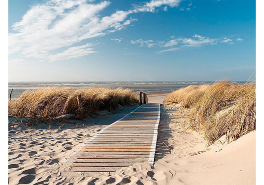 Photo Wallpaper - North Sea beach, Langeoog