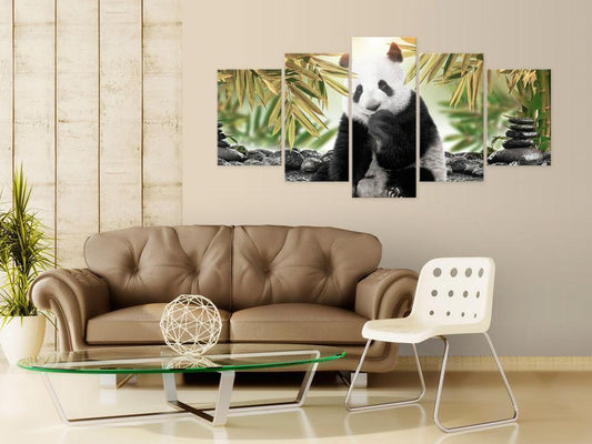 Painting - Cute Panda Bear