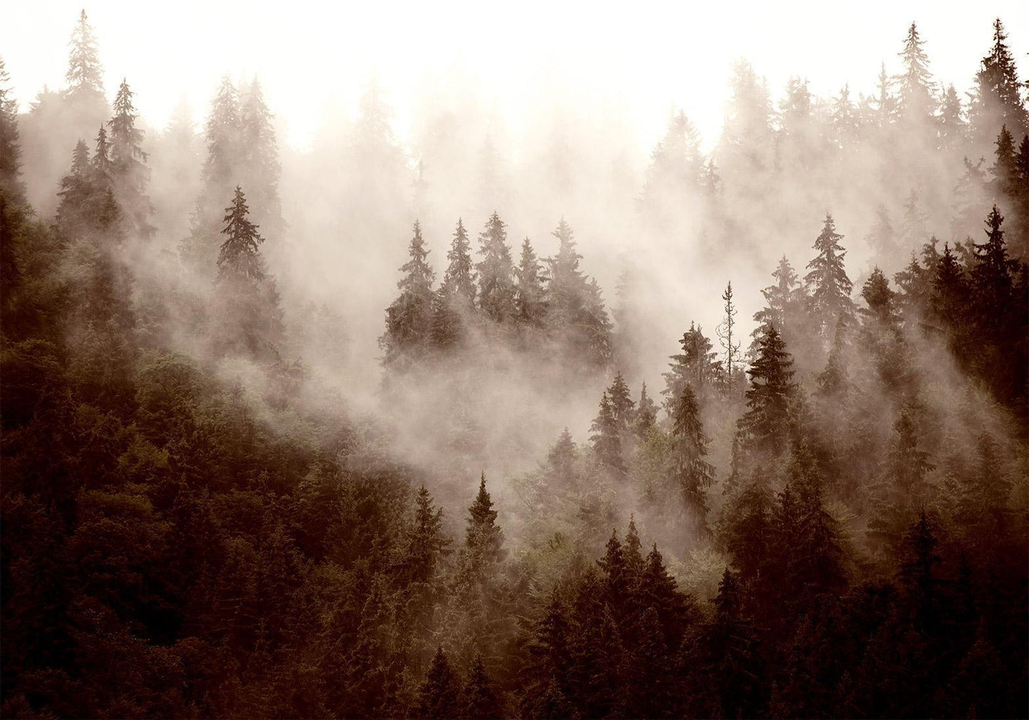 Self-adhesive photo wallpaper - Mountain Forest (Sepia)