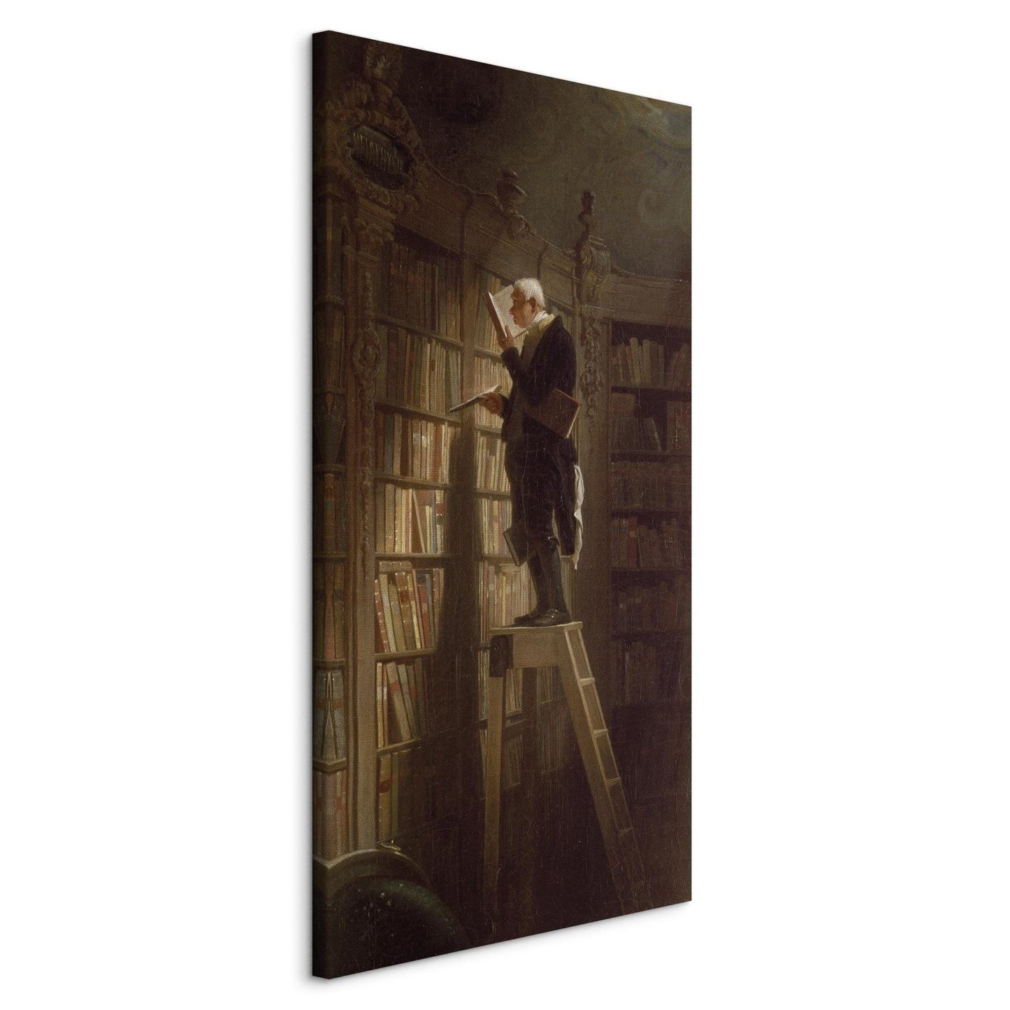 Schilderij - The Bookworm