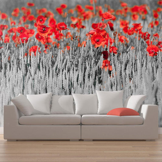 Fotobehang - Red poppies on black and white background