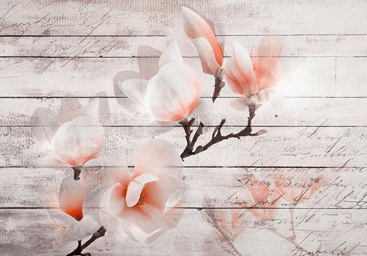 Fotobehang - Subtlety of the Magnolia