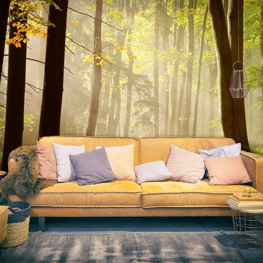 Wall Mural - Mysterious forest path