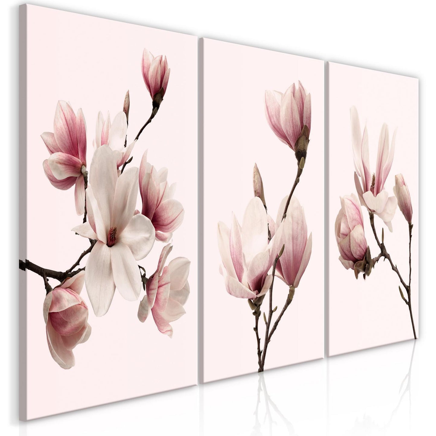 Painting - Spring Magnolias (3 Parts)