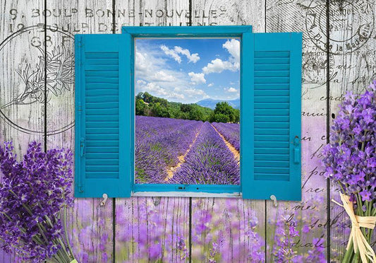 Fototapete - Lavendel-Erinnerung