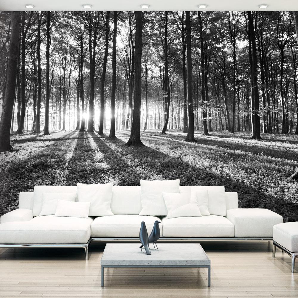 Self-adhesive photo wallpaper - Gray Wilderness