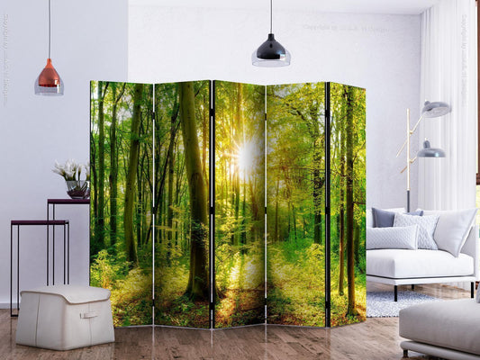 Folding Screen - Forest Rays II [Room Dividers] 
