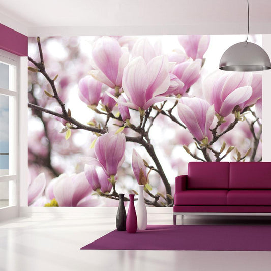 Wall Mural - Magnolia blossom