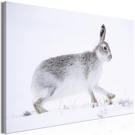 Schilderij - Hare (1 Part) Wide