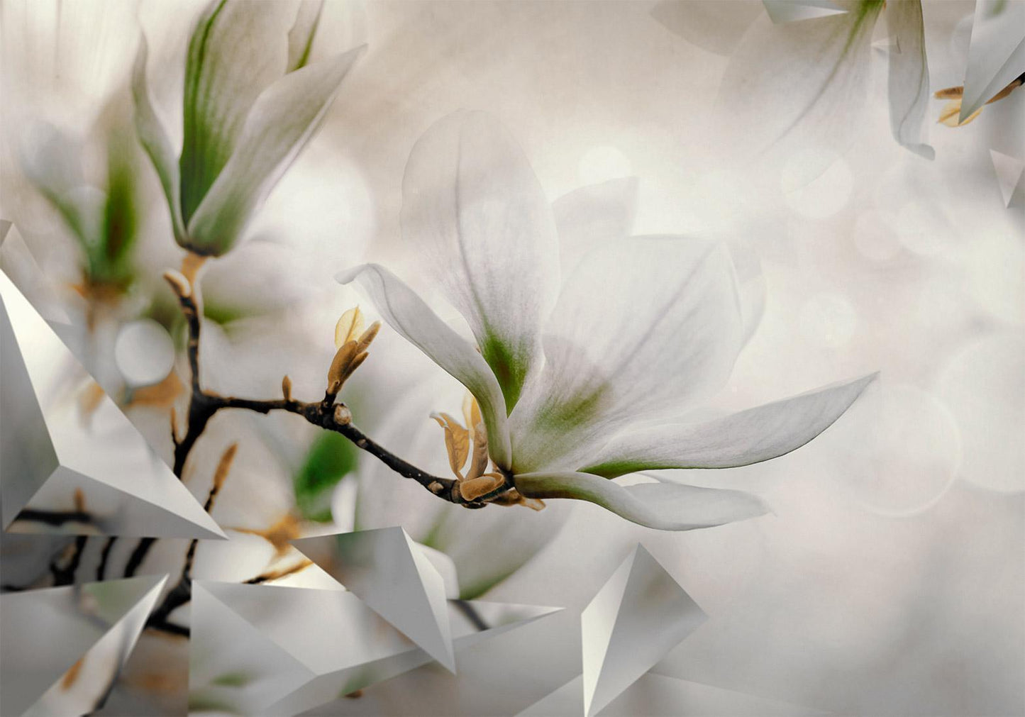 Fotobehang - Subtle Magnolias - Second Variant