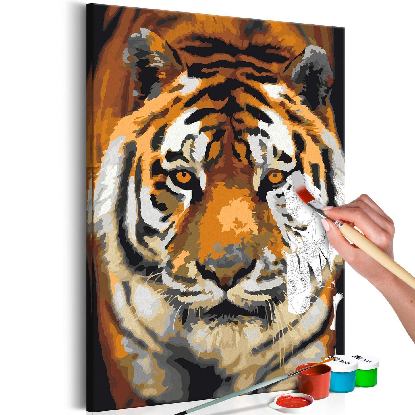 Doe-het-zelf op canvas schilderen - Asian Tiger