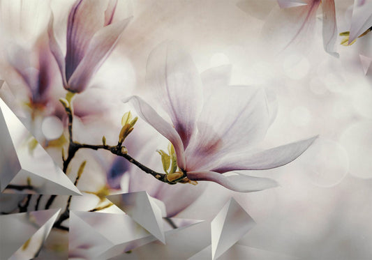 Fotobehang - Subtle Magnolias - First Variant