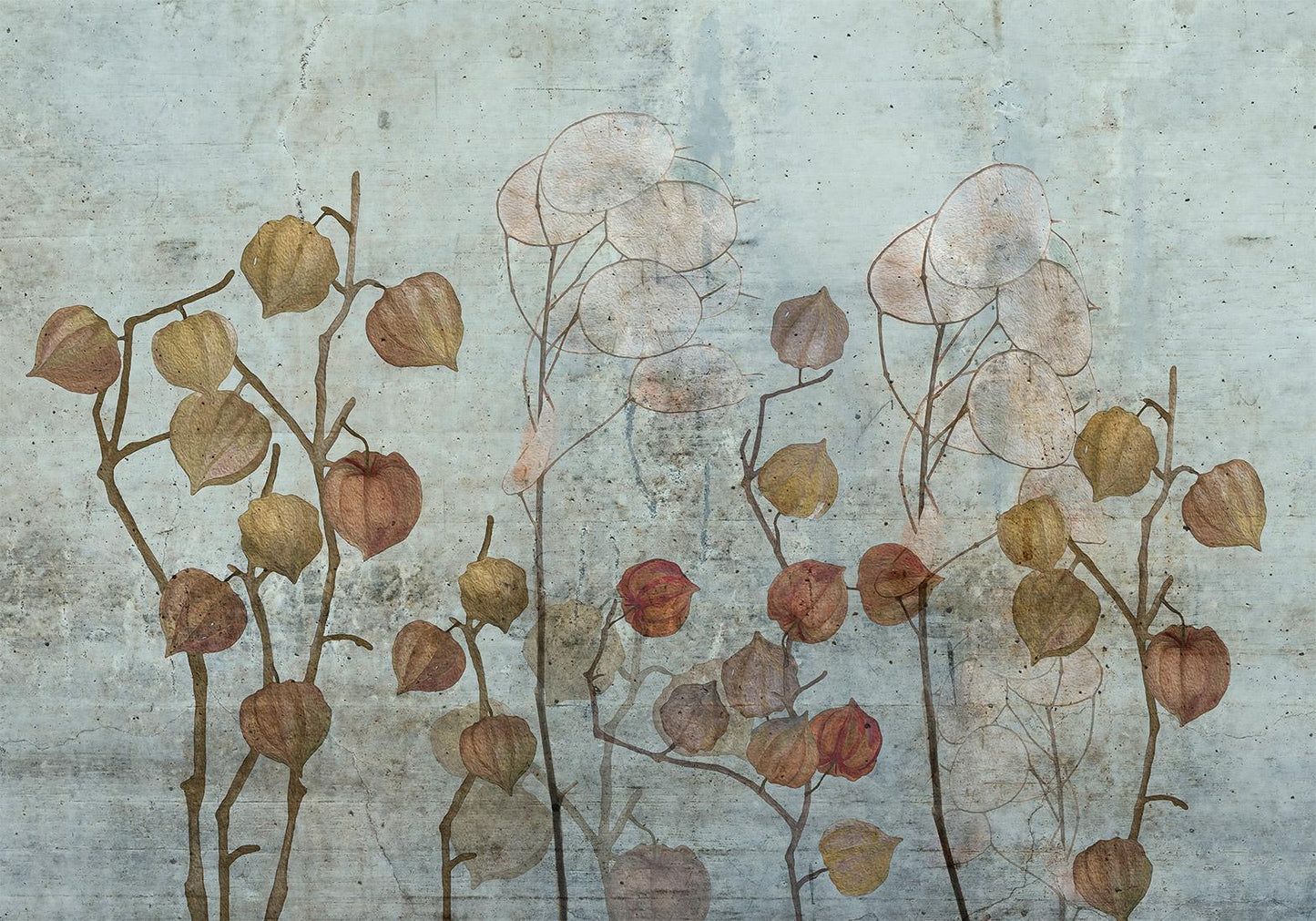 Selbstklebende Fototapete - Painted Lunaria