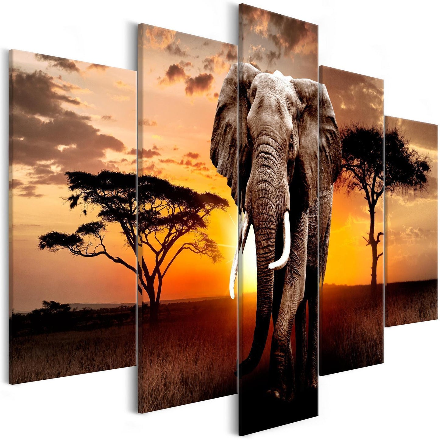 Gemälde - Wandernder Elefant (5 Teile) Breit
