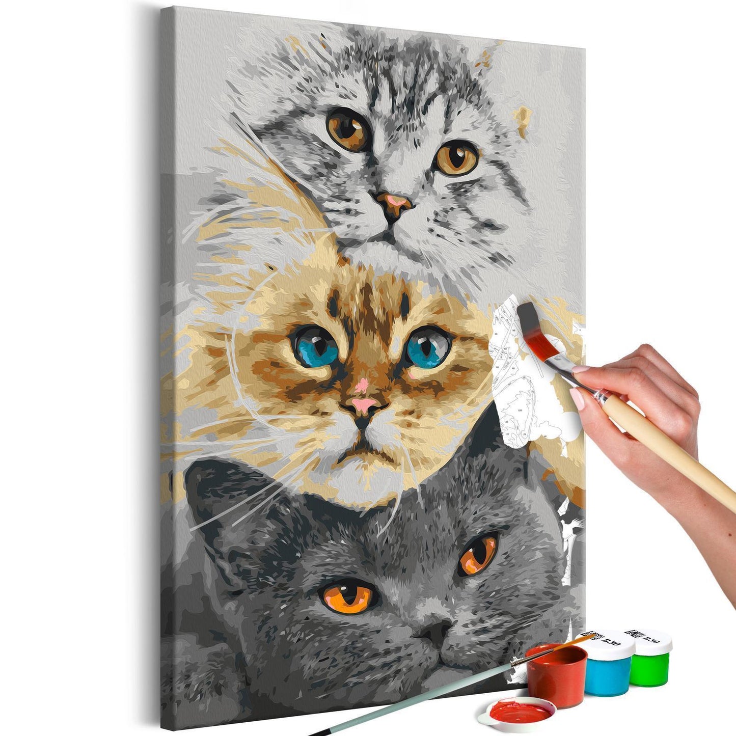 DIY painting on canvas - Cat's Trio 