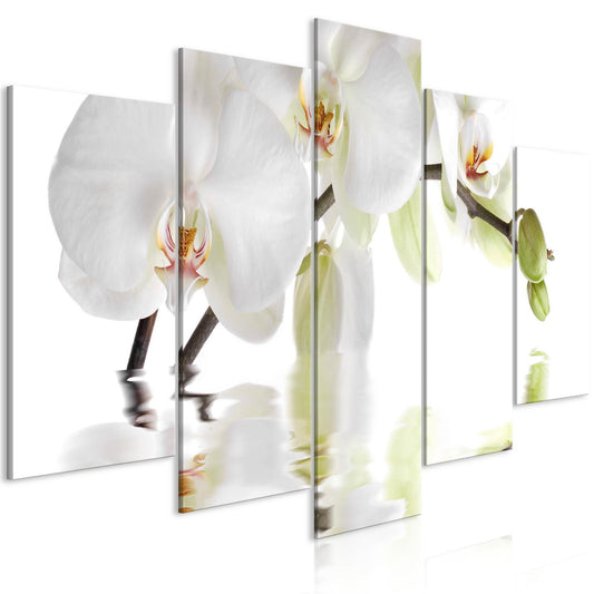 Schilderij - Wonderful Orchid (5 Parts) Wide