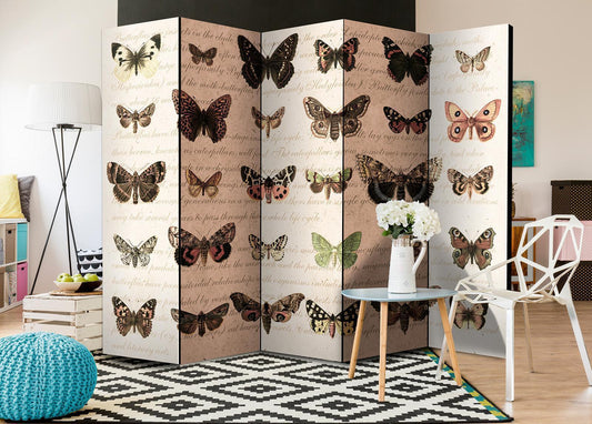 Folding Screen - Retro Style: Butterflies II [Room Dividers] 