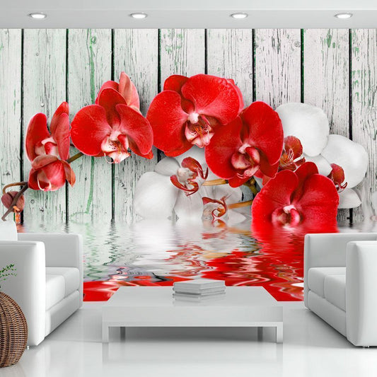 Wall Mural - Ruby orchid