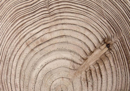 Fotobehang - Wood grain