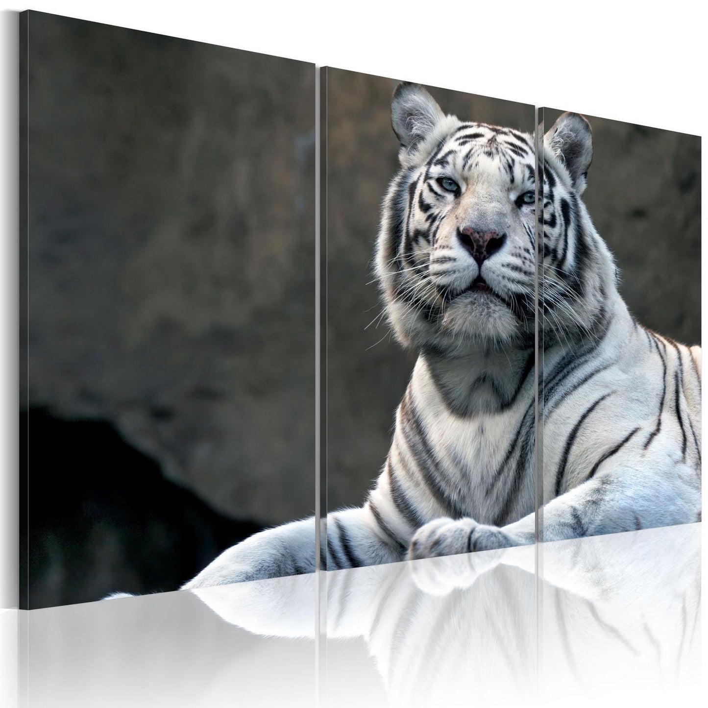 Painting - White tiger