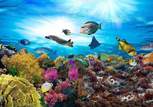 Fotobehang - Coral reef