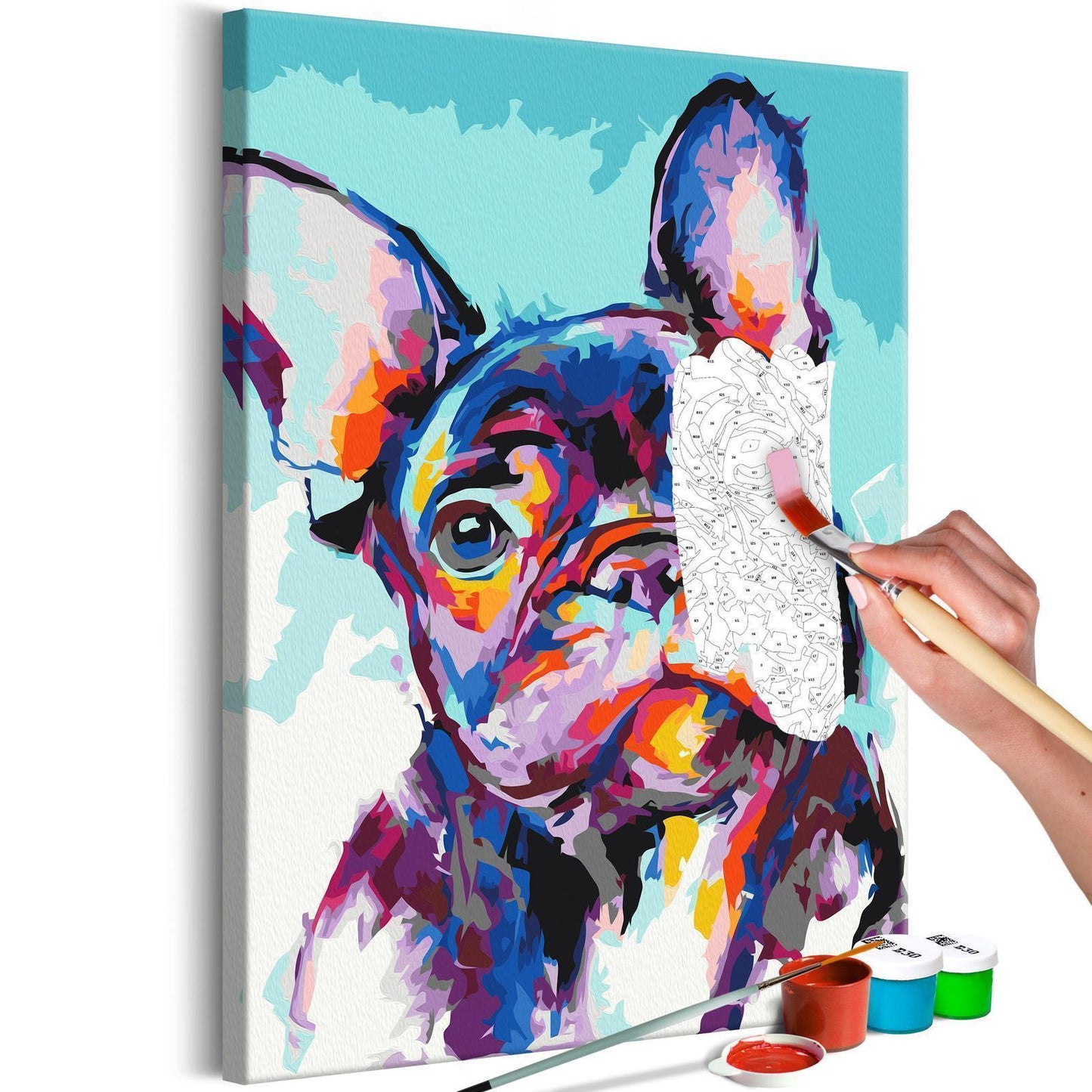 Doe-het-zelf op canvas schilderen - Bulldog Portrait