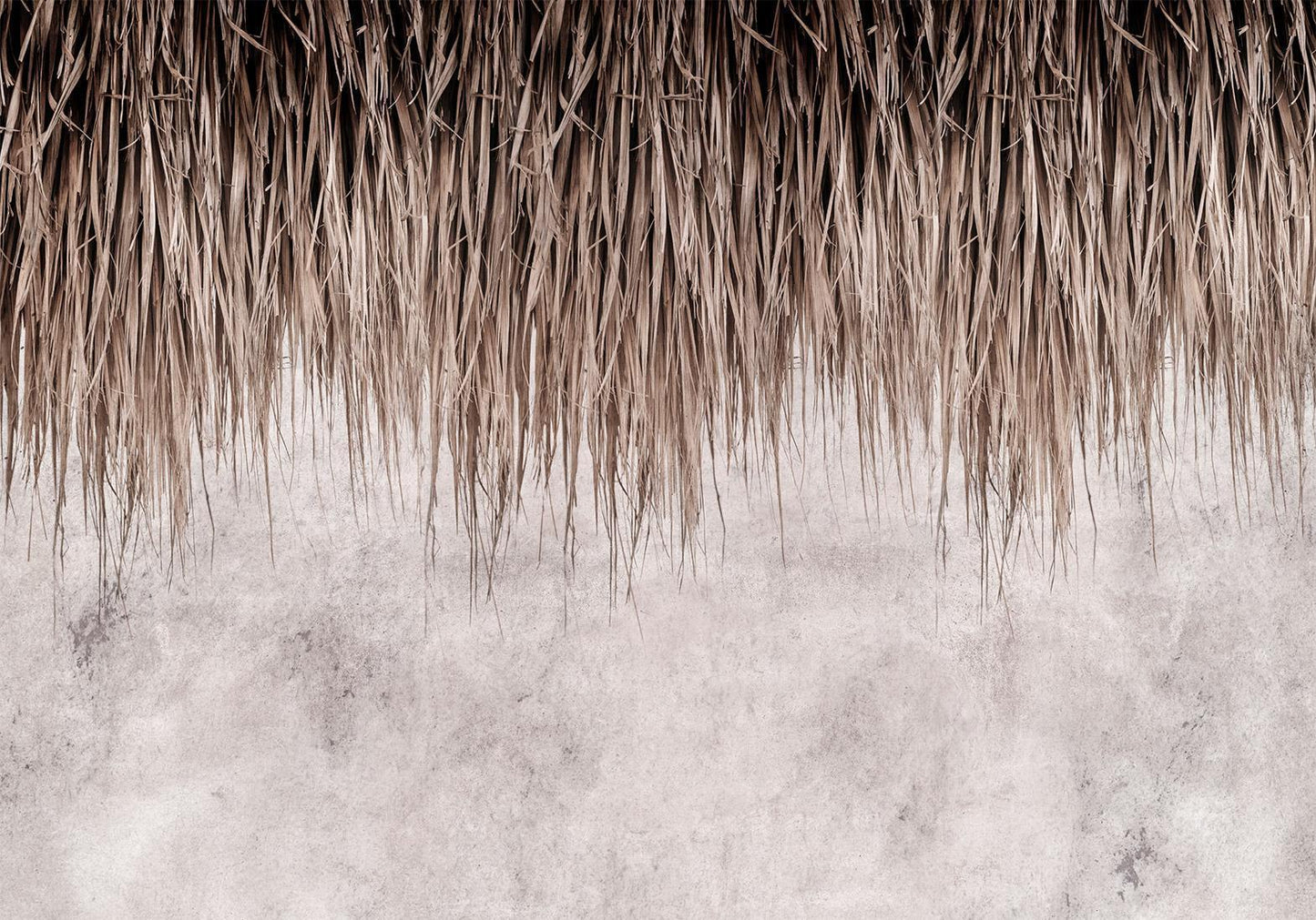Selbstklebende Fototapete - Palm Canopy