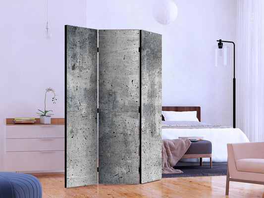 Folding Screen - Fresh Concrete [Room Dividers] 