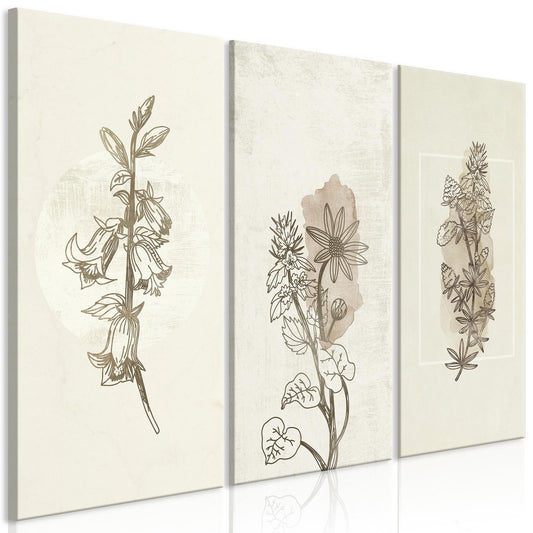 Malerei - Herbarium (3 Teile)