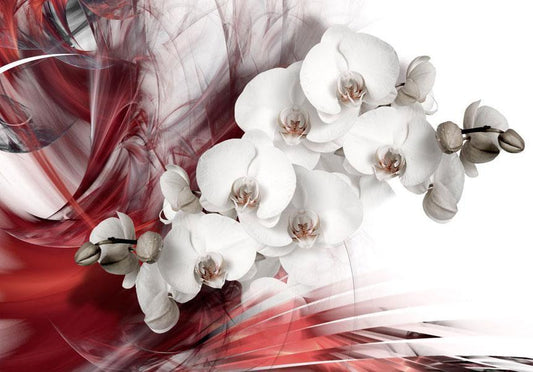 Fotobehang - Orchid in red