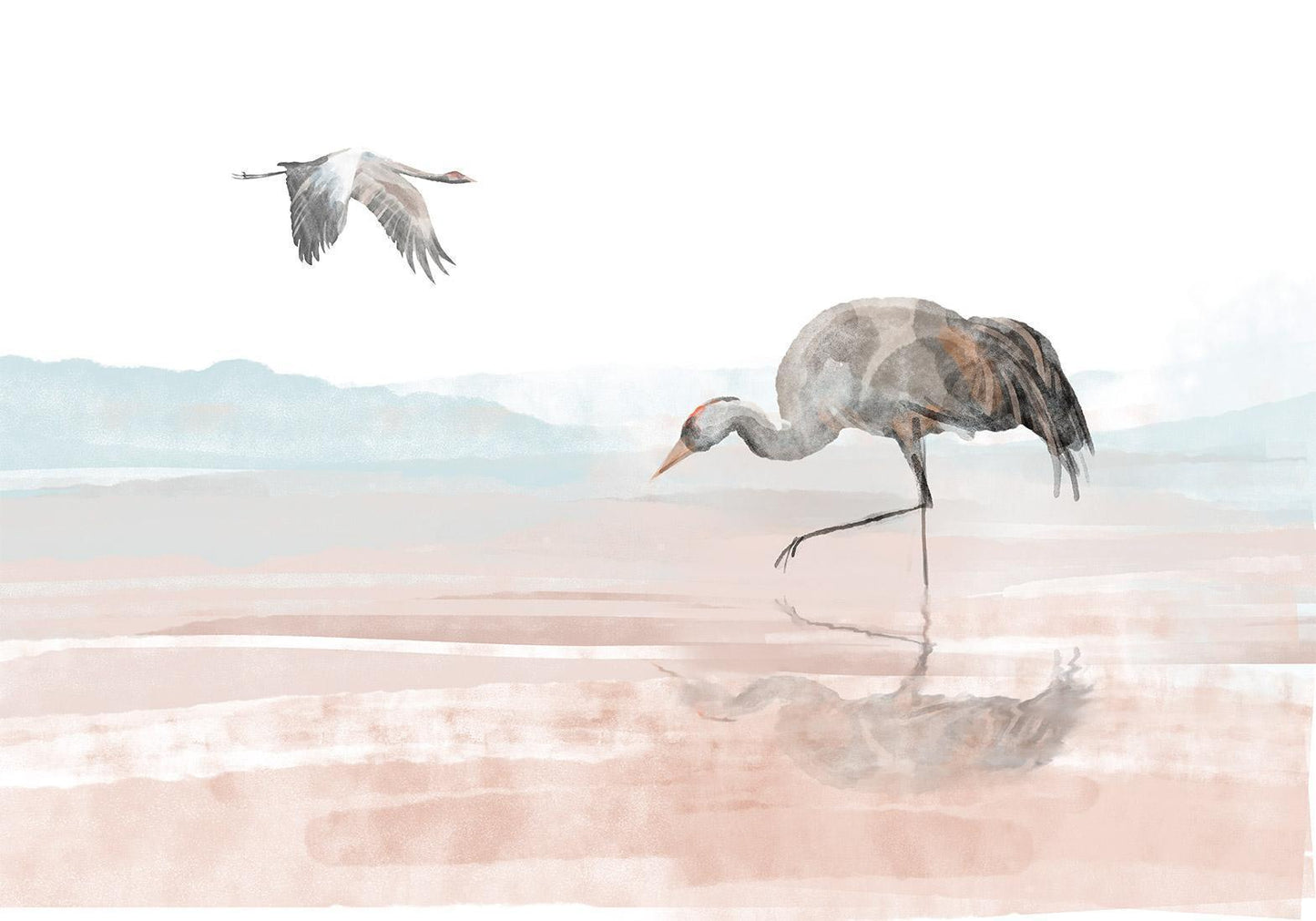 Fotobehang - Cranes Over the Water