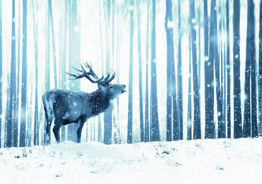 Fototapete - Hirsch im Schnee (Blau)