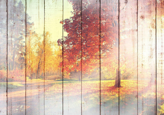 Photo Wallpaper - Autumn Sun