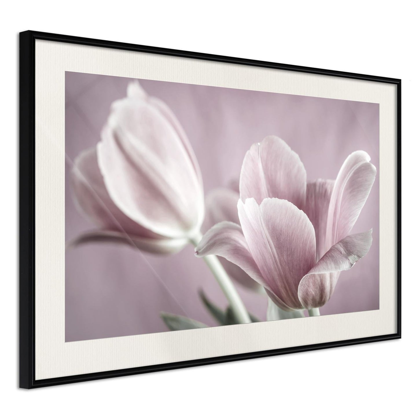 Pastel Tulips I