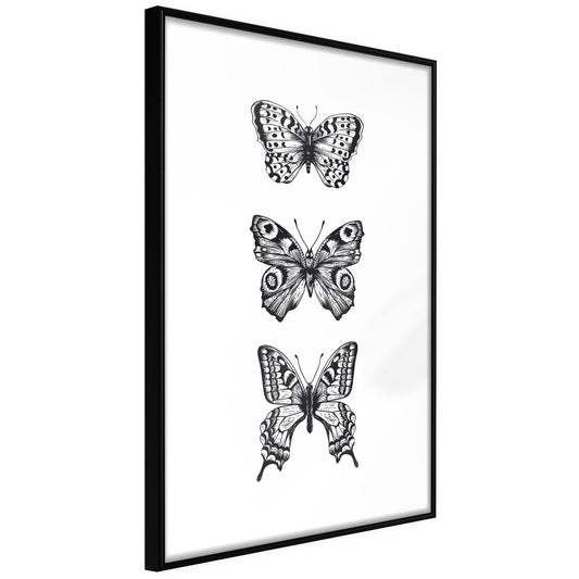 Butterfly Collection III