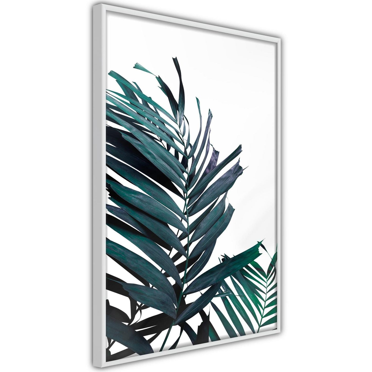Immergrüne Palmblätter